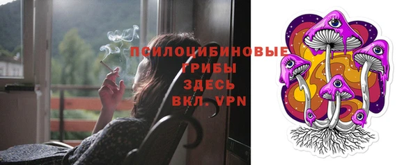 стаф Пересвет