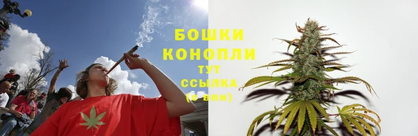 стаф Пересвет