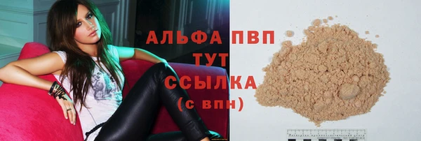 стаф Пересвет