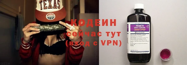 стаф Пересвет