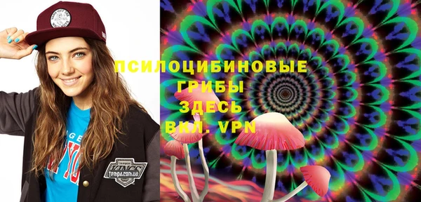 ГАЛЛЮЦИНОГЕННЫЕ ГРИБЫ Переславль-Залесский