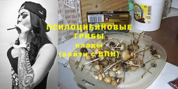 стаф Пересвет
