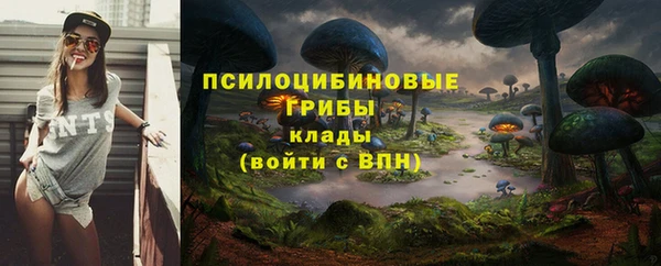 спайс Пестово