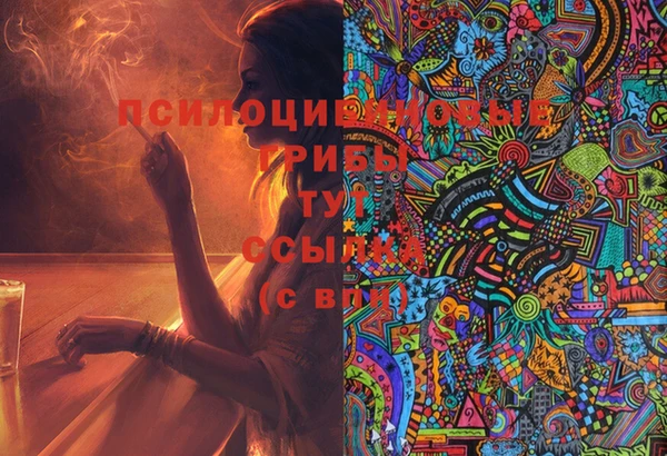 спайс Пестово
