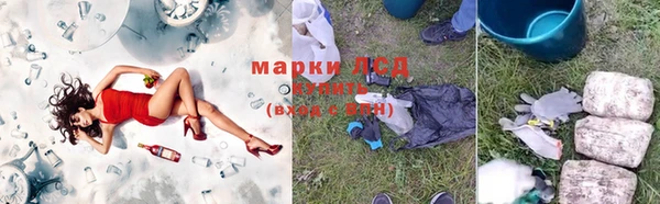 ГАЛЛЮЦИНОГЕННЫЕ ГРИБЫ Переславль-Залесский