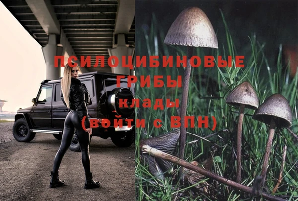 спайс Пестово