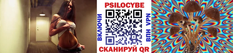 Галлюциногенные грибы мицелий  Красный Кут 